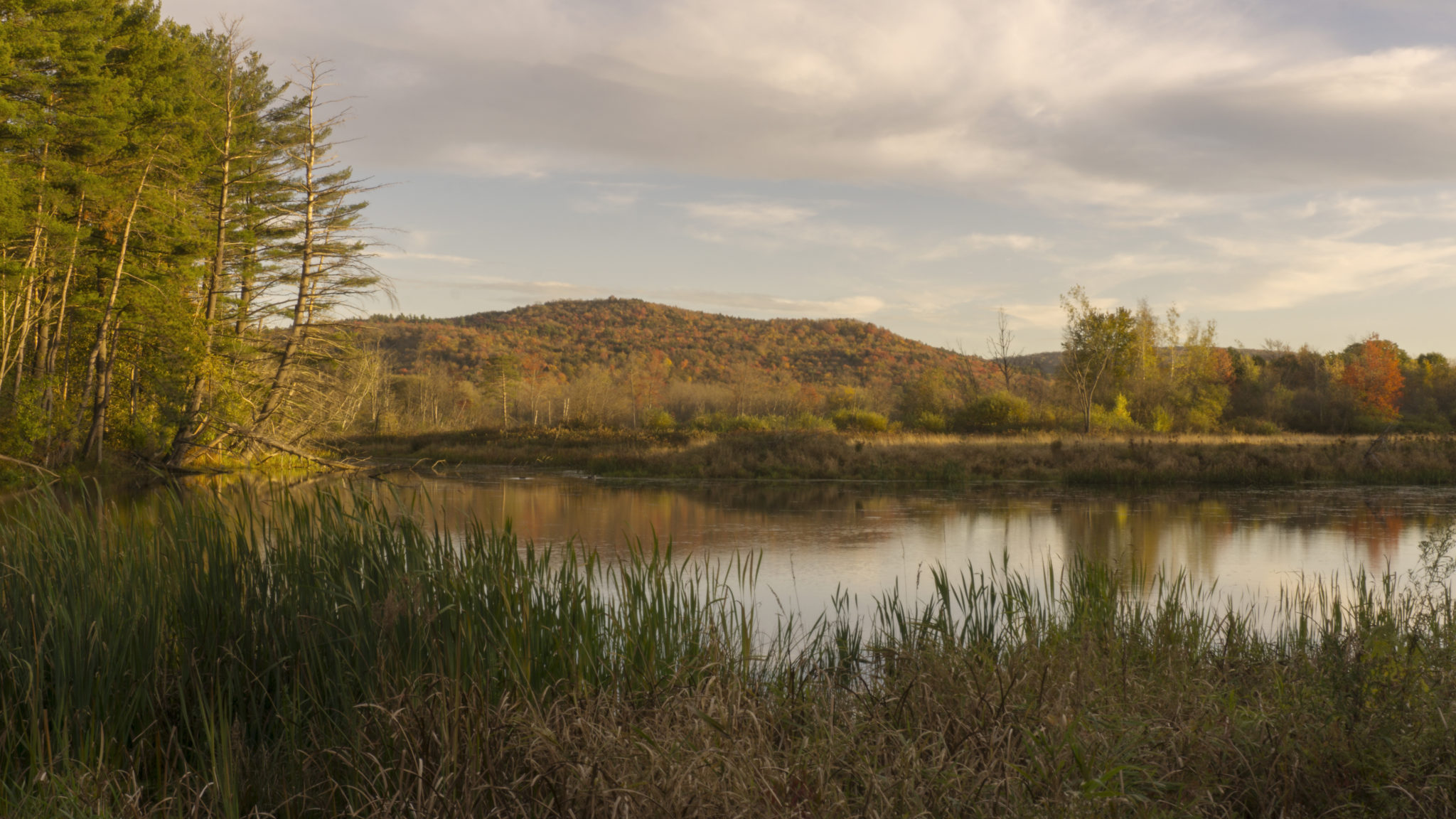 Canoe Meadows