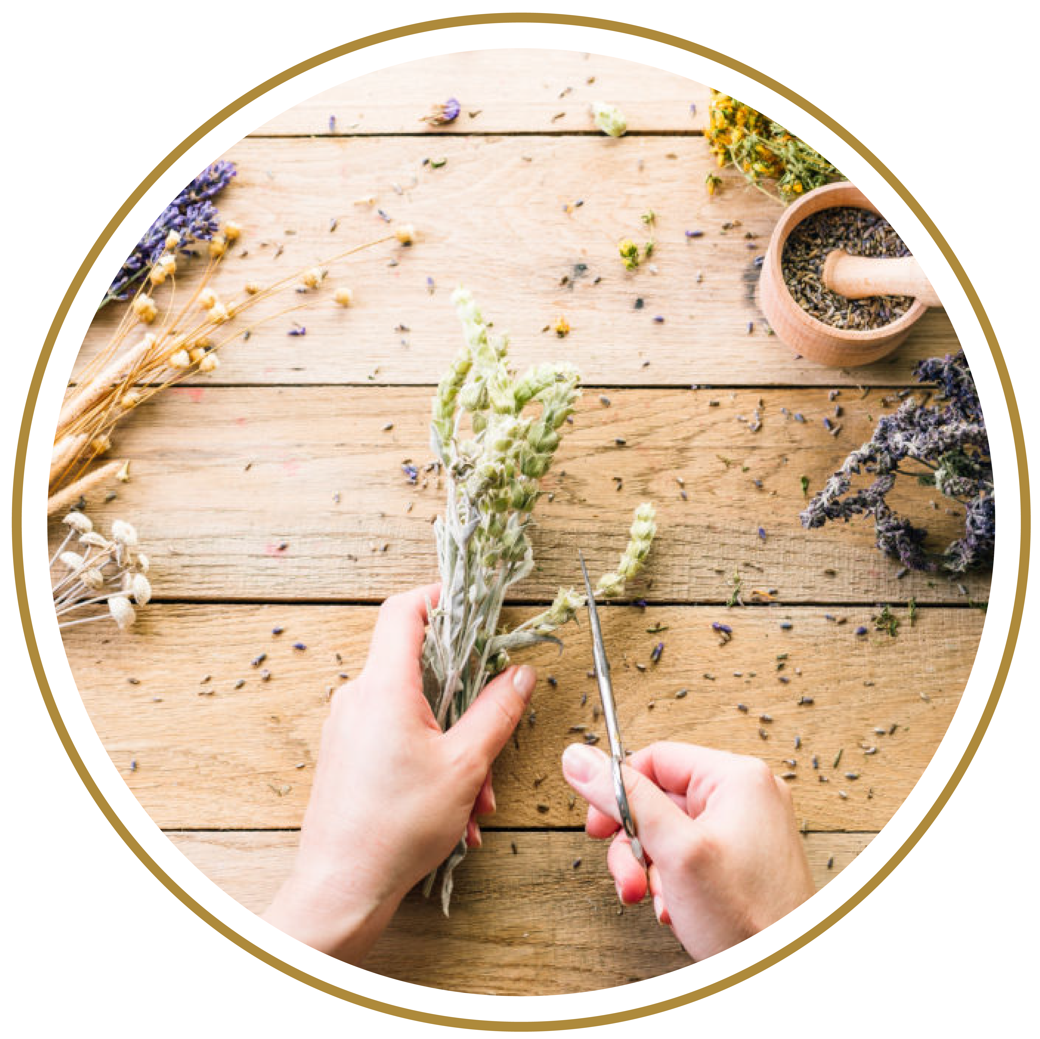 Herbal Massachusetts CBD Oil