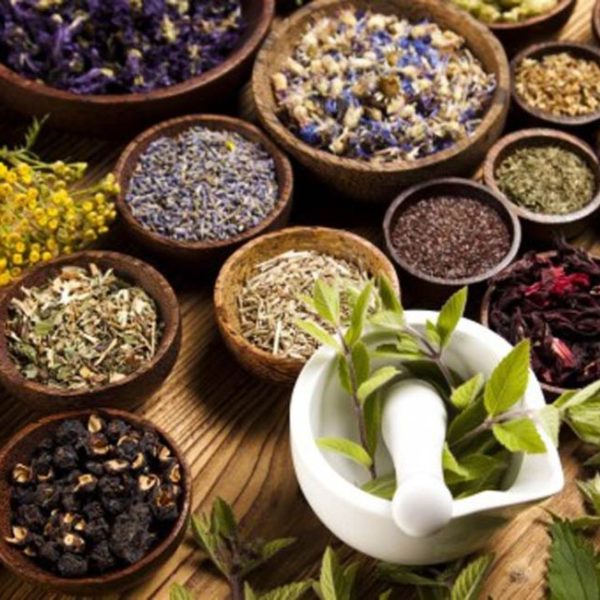 Hemp and Herbal Medicine